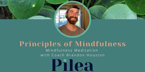 Principles of Mindfulness with Pilea